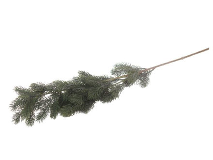 Slika  Grana zelenila 80 cm; zelena