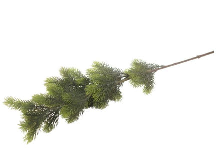 Slika  Grana bora 80 cm; sv.zelena