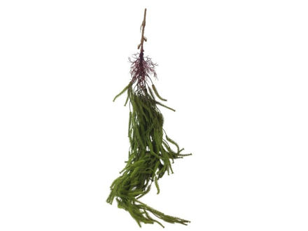 Slika  Puzavica 103 cm; t.zelena