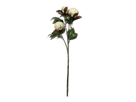 Slika Grana peonije 64cm; krem