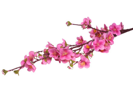 Slika Grana breskve 80 cm; roza