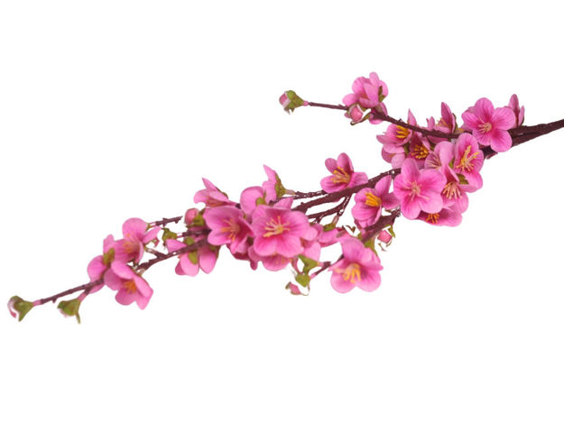 Slika Grana trešnje 80 cm; roza