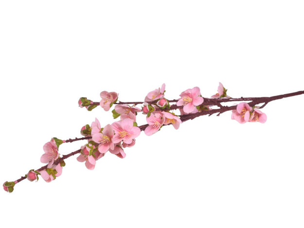 Slika Grana trešnje 80 cm; sv.roza