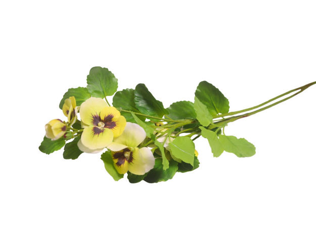Slika Viola 85 cm; žuta