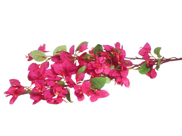 Slika Bugenvila 95 cm; ciklama