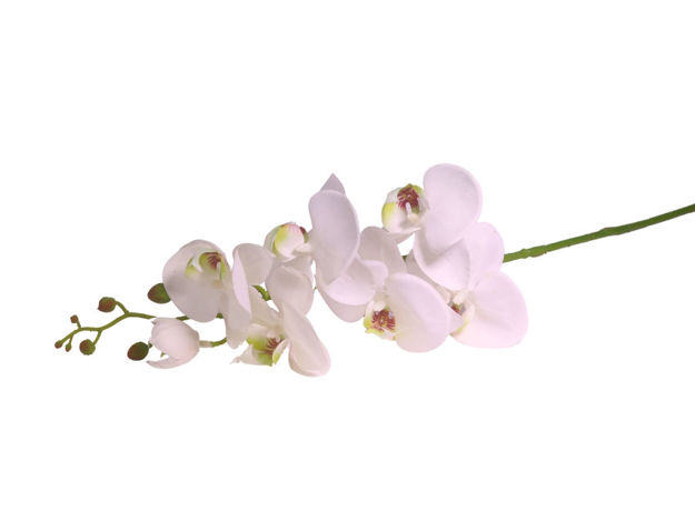 Slika Orhideja 90 cm; bijela