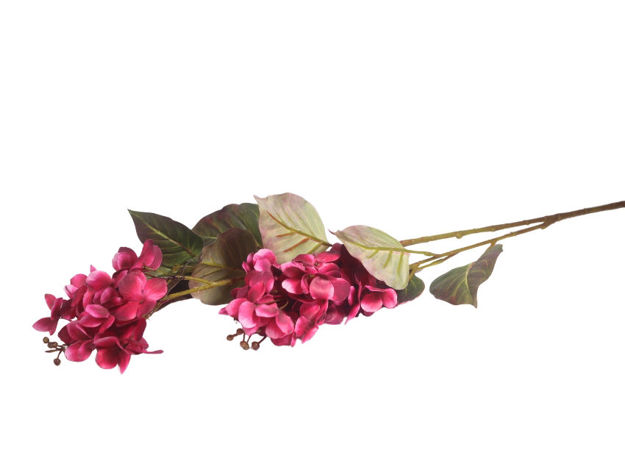 Slika Hortenzija 76 cm; ciklama