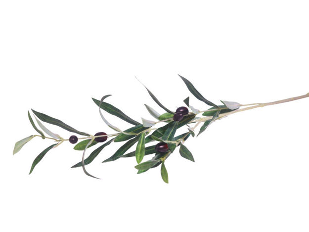 Slika Grana maslina 78 cm; zelena