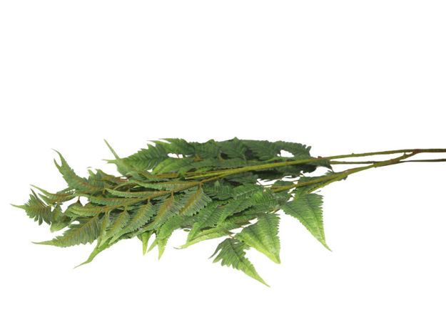 Slika Grana paprati 120 cm; zelena