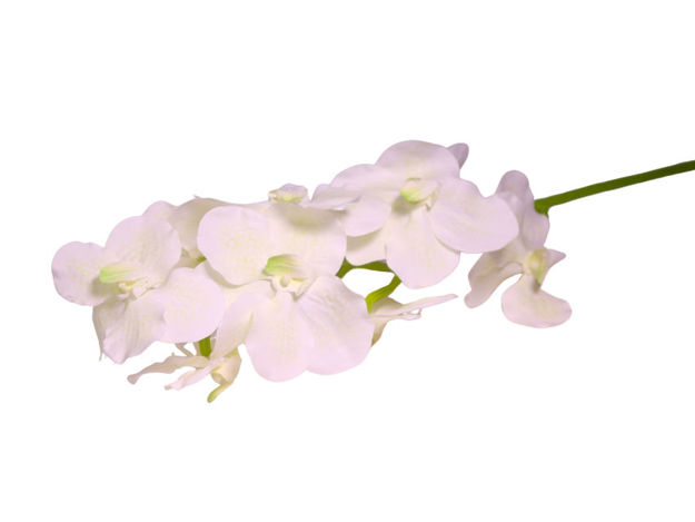 Slika Orhideja 80 cm; bijela