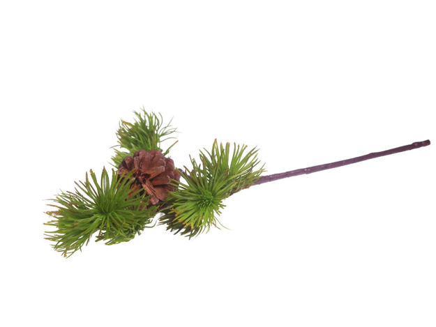 Slika Grana bora 40 cm; zelena
