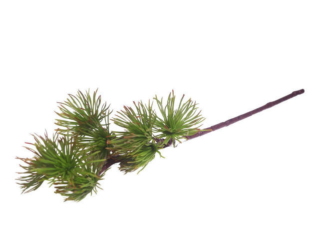 Slika Grana bora 40 cm; zelena