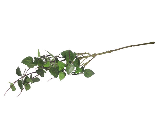 Slika Grana zelenila 55 cm; zelena