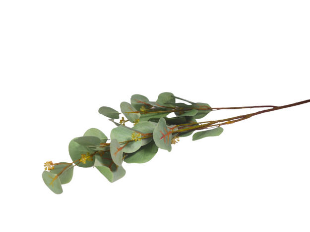 Slika Eukaliptus 85 cm; zelena