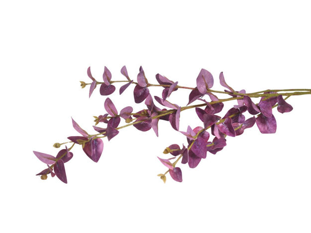 Slika Eukaliptus 85 cm; crvena