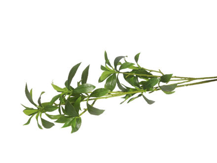 Slika Grana zelenila 105 cm; zelena
