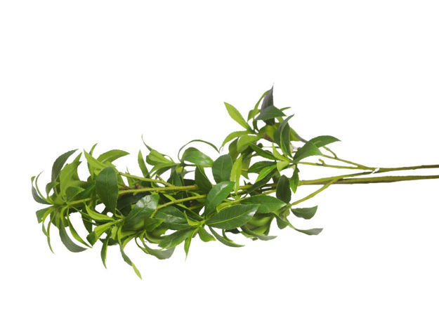 Slika Grana zelenila 110 cm; zelena