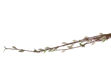Slika Grana salix 135 cm; ZELENA