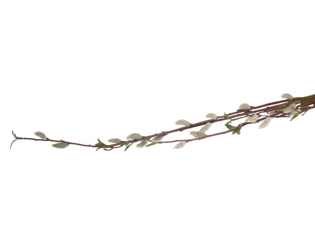 Slika Grana salix 135 cm; ZELENA