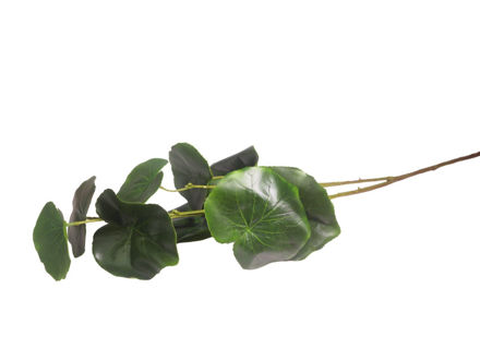 Slika Grana zelenila 80 cm; zelena