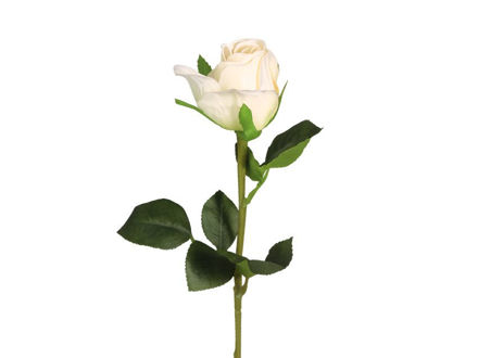 Slika Ruža 51 cm; bijela