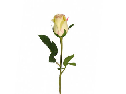 Slika Ruža 51 cm; sv.roza