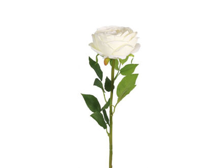 Slika Ruža 70 cm; bijela