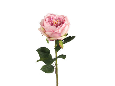 Slika Ruža 70 cm; roza