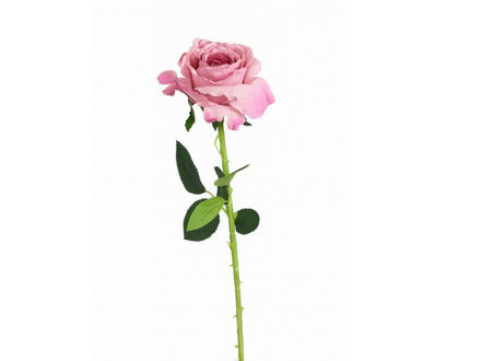 Slika Ruža 75 cm; ljubičasta