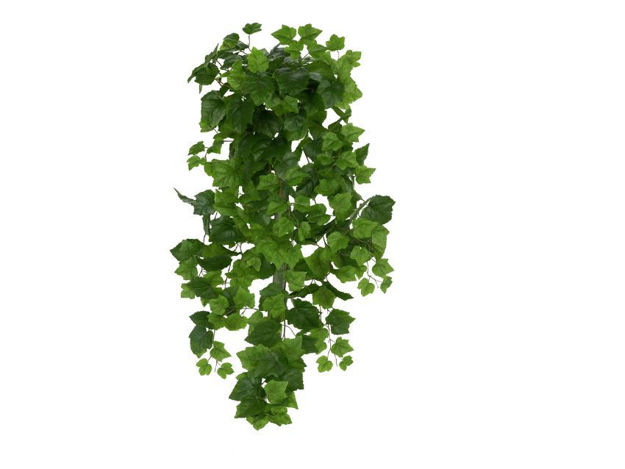 Slika Puzavica bršljan 100 cm; zelena