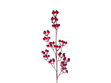 Slika Grana berry 73 cm; crvena