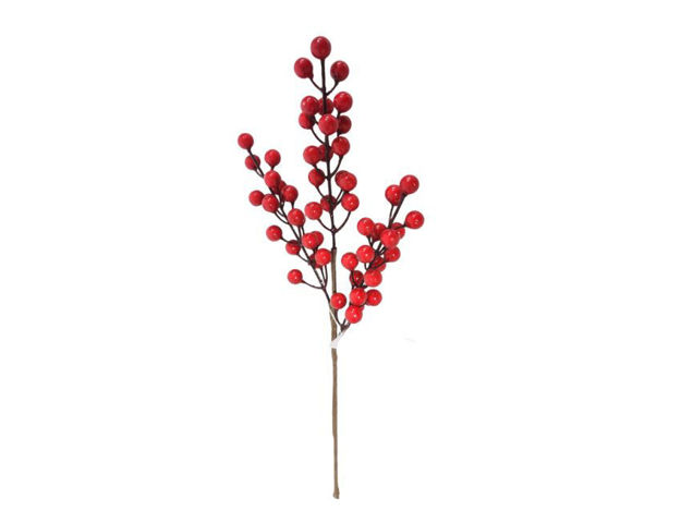 Slika Pik berry 43 cm; crvena