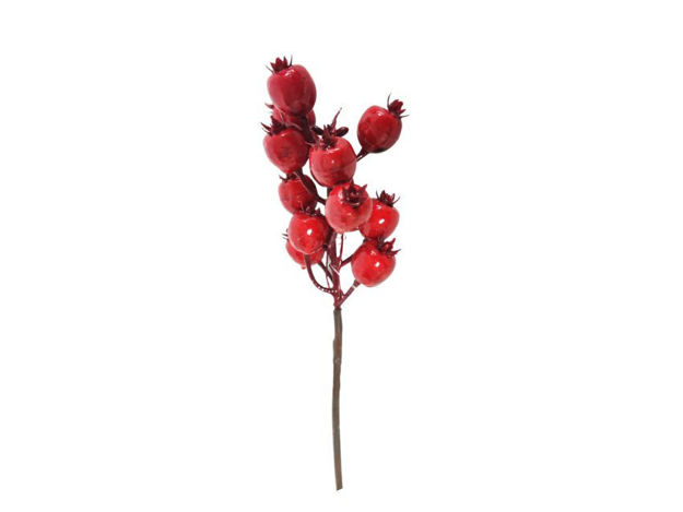 Slika Pik berry 40 cm; crvena