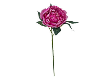 Slika Peonija 50cm; ciklama