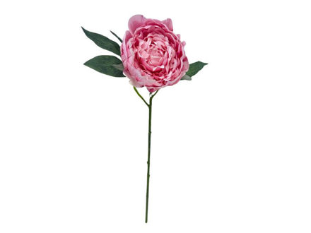 Slika Peonija 50cm; roza