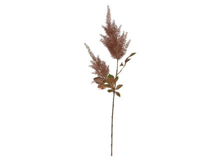 Slika Astilba 80 cm; brončana