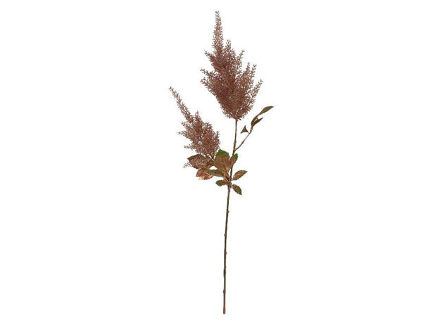 Slika Astilba 80 cm; brončana