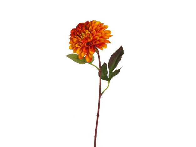 Slika Dalia 58 cm; narančasta