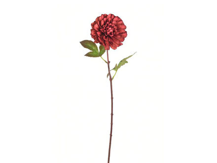 Slika Dalia 58 cm; roza