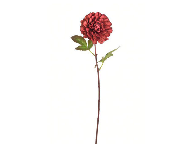 Slika Dalia 58 cm; roza