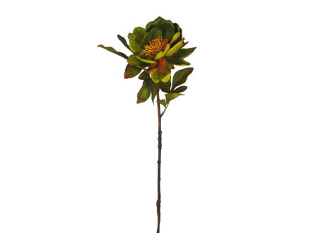 Slika Peonija 56 cm; zelena
