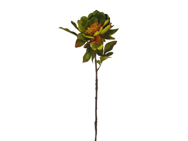 Slika Peonija 56 cm; zelena