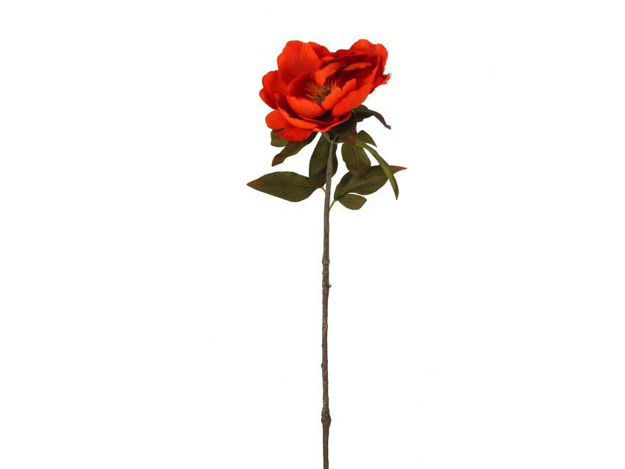 Slika Peonija 56 cm; narančasta