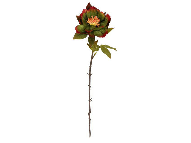 Slika Peonija 56 cm; zelena/ljubičasta