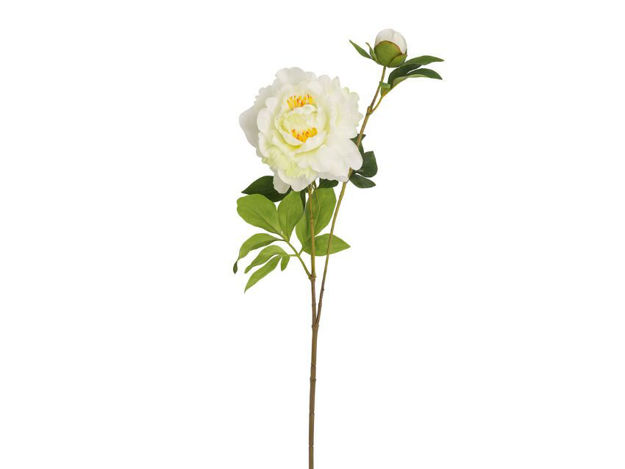 Slika Peonija 67 cm; krem/zelena