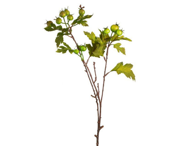 Slika Grana dekorativna 70 cm; zelena