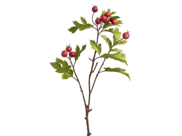 Slika Grana dekorativna 70 cm; crvena