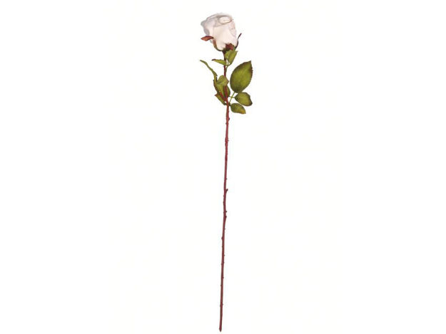 Slika Ruža 58 cm; krem