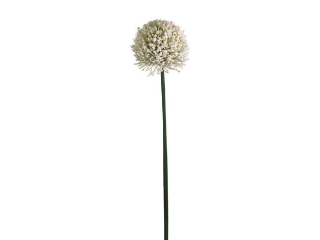 Slika Alium 65 cm; krem