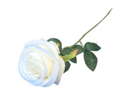 Slika Ruža 49 cm; d 10 cm; bijela